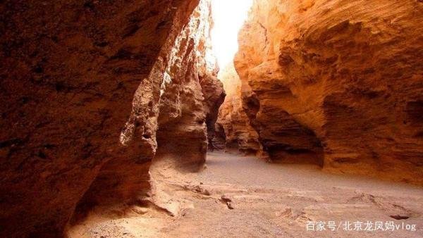 罗布泊的地下洞穴，为何会出现很多大型的吃人蜥蜴呢？