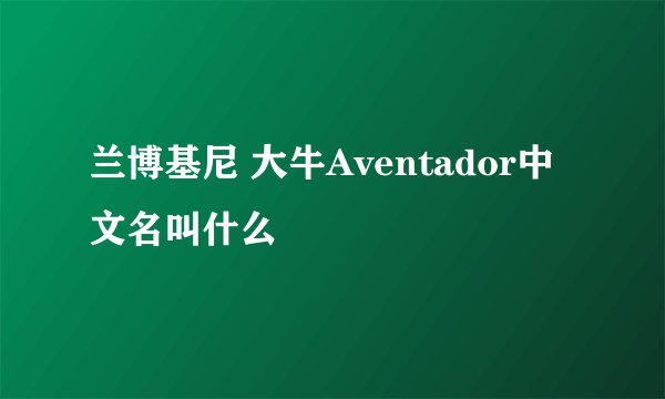 兰博基尼 大牛Aventador中文名叫什么