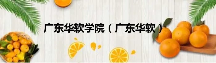 广东华软学院（广东华软）