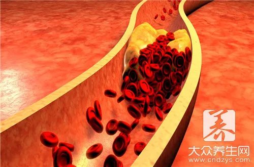 一斤大豆能榨多少油