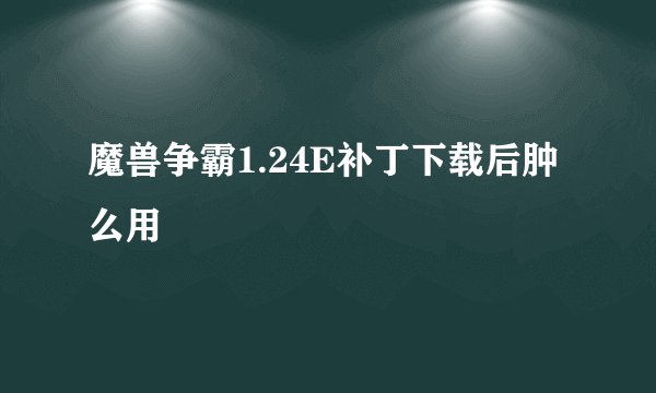 魔兽争霸1.24E补丁下载后肿么用