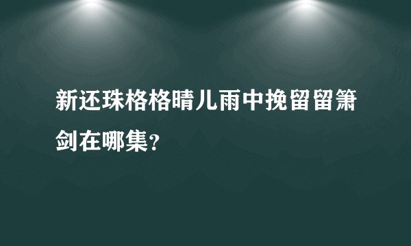 新还珠格格晴儿雨中挽留留箫剑在哪集？