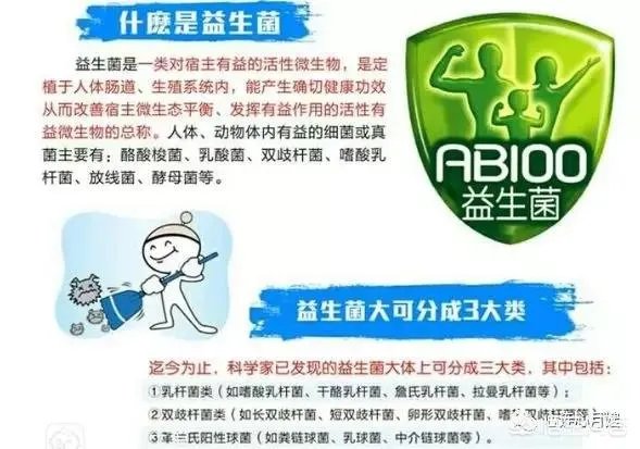 你们买益生菌的话都是买什么品牌的？