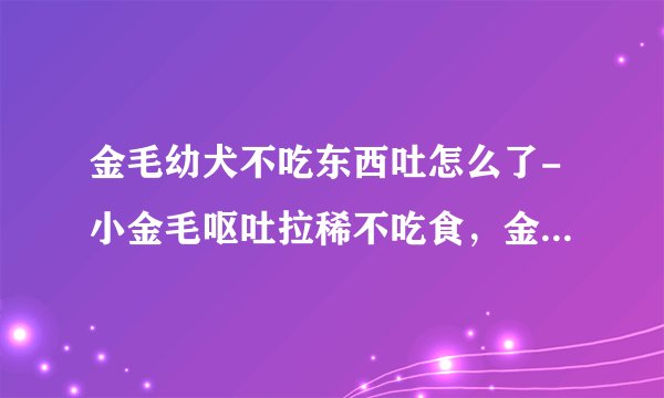 金毛幼犬不吃东西吐怎么了-小金毛呕吐拉稀不吃食，金毛拉稀呕吐不吃食物是怎么办了？