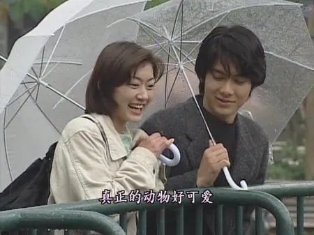 怎么评价一吻定情？