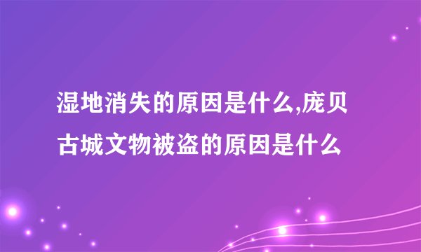 湿地消失的原因是什么,庞贝古城文物被盗的原因是什么