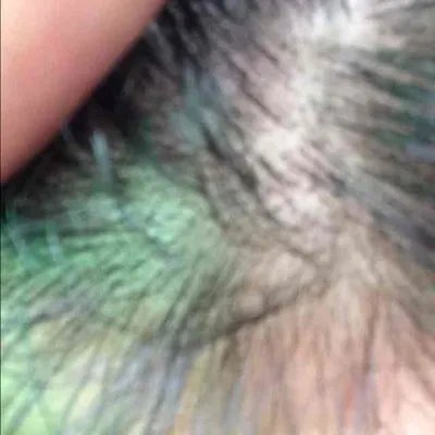 霸王防脱发好用吗？