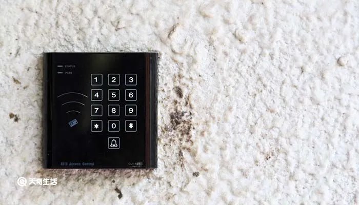 密码法施行日期是哪一天