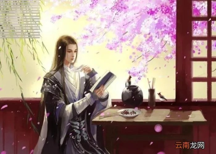 5本好看的红楼同人小说 红楼之倾尽天下