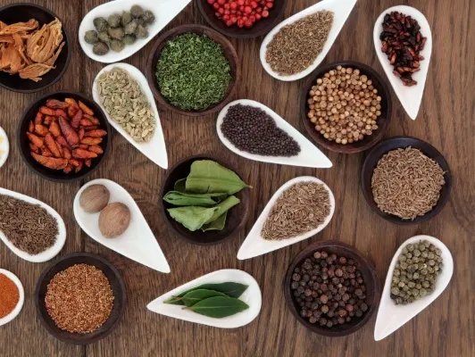 蝉蛹的营养价值