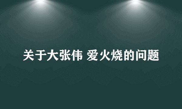关于大张伟 爱火烧的问题