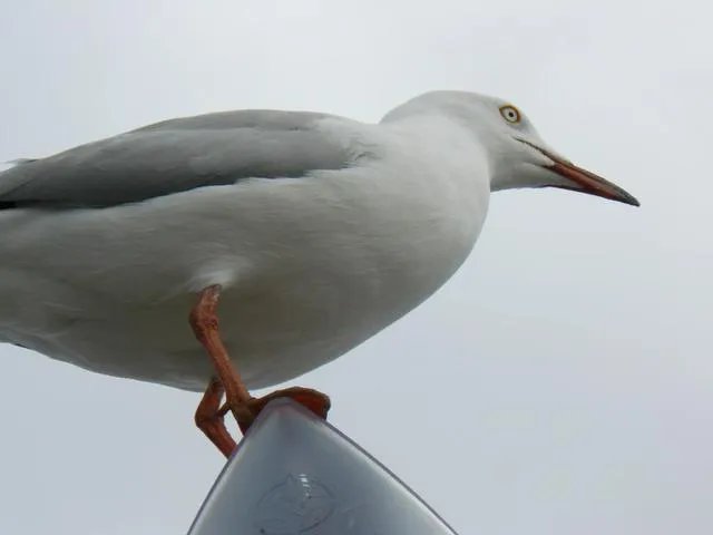 旅行途中你都见过哪些罕见的风景？