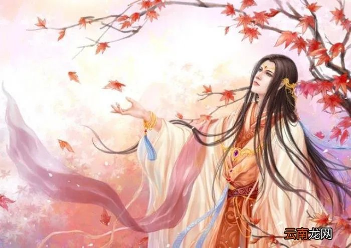 5本好看的红楼同人小说 红楼之倾尽天下