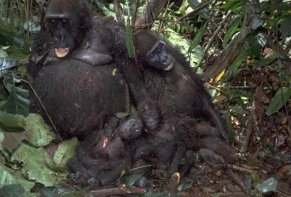 世界上最凄惨的30张照片：流着眼泪看完了（组图）