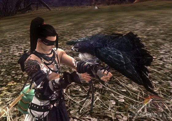 剑网3丐帮宠物隼五种外观游戏实景截图整理