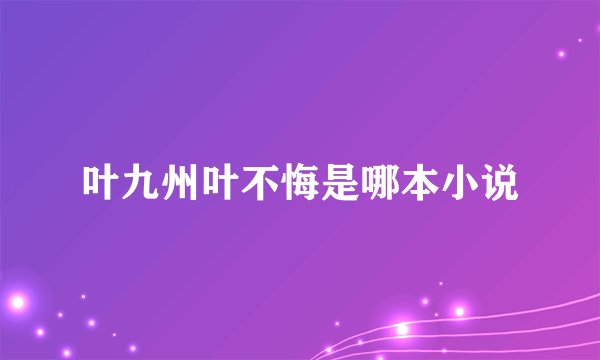 叶九州叶不悔是哪本小说