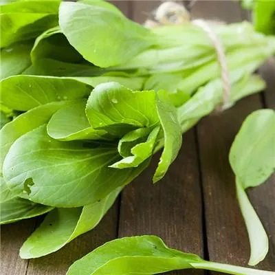 儿童健康饮食小常识