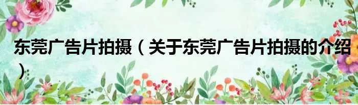 东莞广告片拍摄（关于东莞广告片拍摄的介绍）