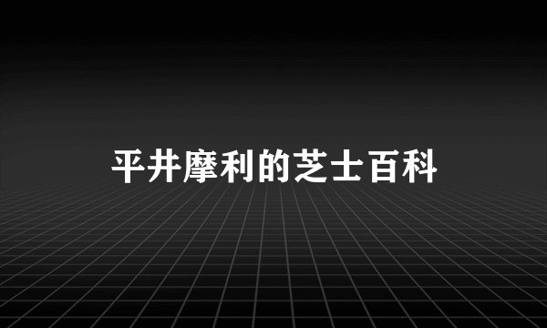 平井摩利的芝士百科