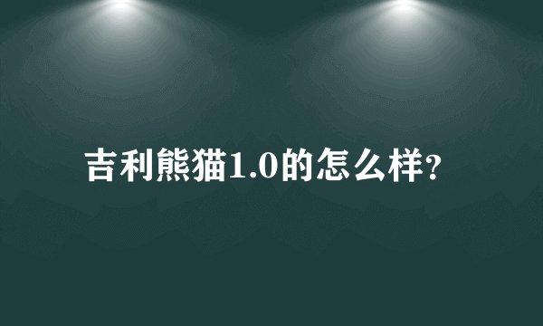 吉利熊猫1.0的怎么样？