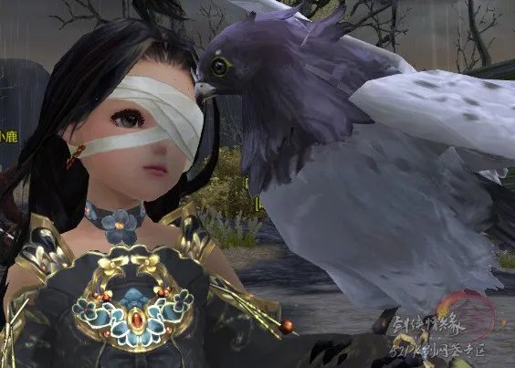 剑网3丐帮宠物隼五种外观游戏实景截图整理