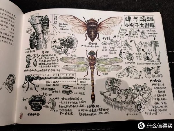 不求甚解集 篇二十：我们的八十年代：《漫步八十年代：老北京拾遗》