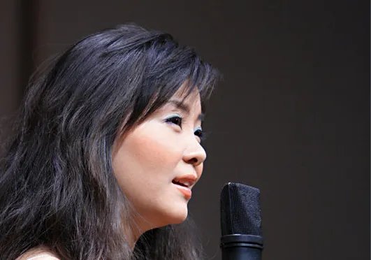 歌手童丽的简介