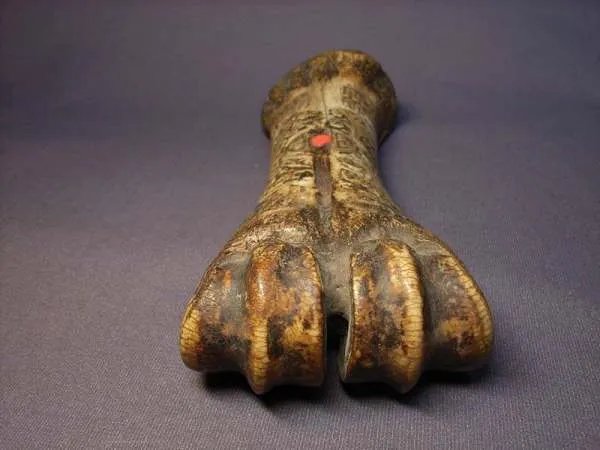 男子捡到虎骨准备泡酒，结果获刑5年，这是为何？