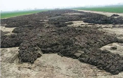 如何处理畜禽粪便？