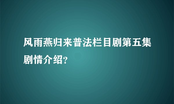风雨燕归来普法栏目剧第五集剧情介绍？