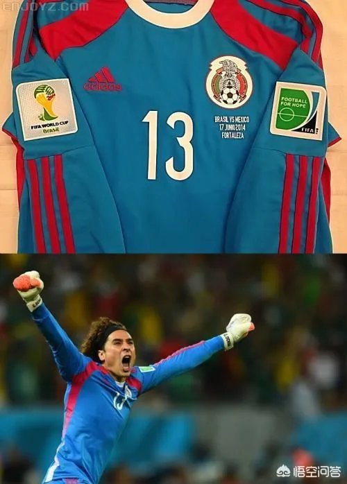 奥乔亚消效力哪里