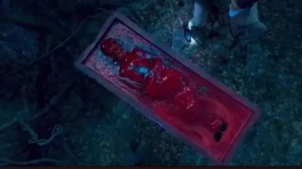 《云南虫谷》会在哪个平台播出？