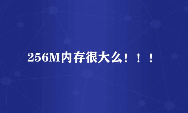 256M内存很大么！！！