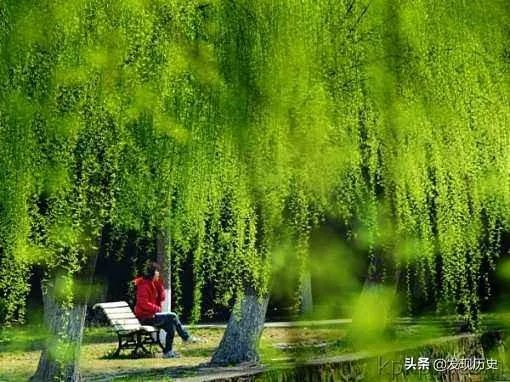 二月二龙抬头有什么美丽诗词？