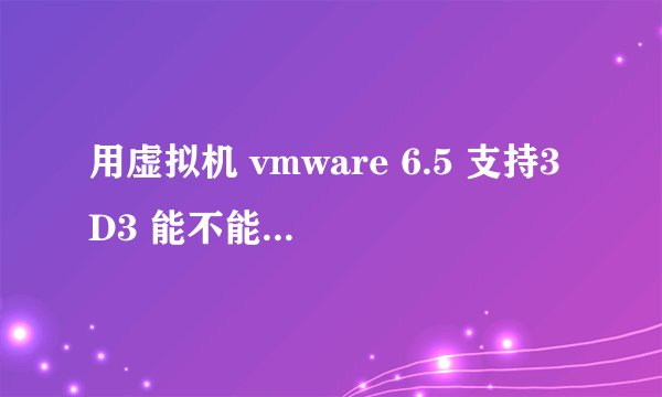 用虚拟机 vmware 6.5 支持3D3 能不能玩苍之涛？