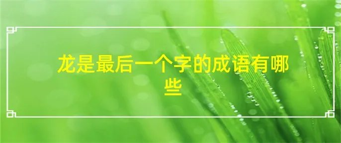 龙是最后一个字的成语有哪些