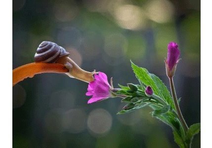 莆田拍婚纱照多少钱？莆田哪家拍婚纱照好？