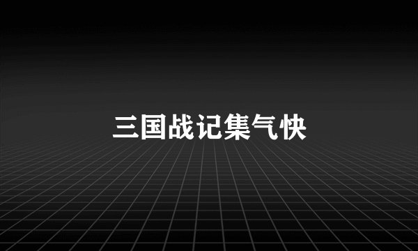 三国战记集气快