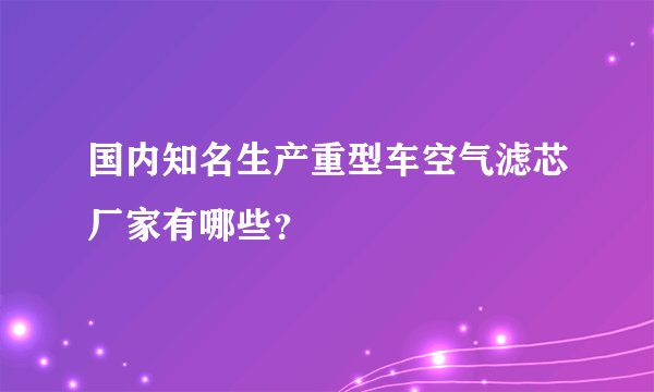 国内知名生产重型车空气滤芯厂家有哪些？