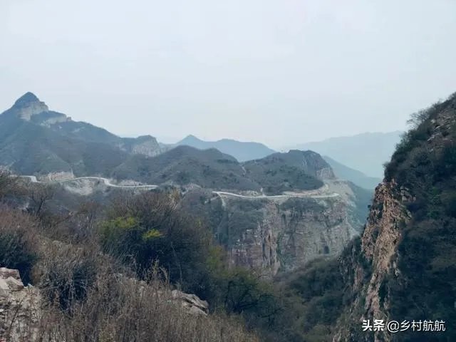 农户在集体荒地上种植竹子，成林后被偷砍且挖掉，能得到赔偿吗？有何依据？