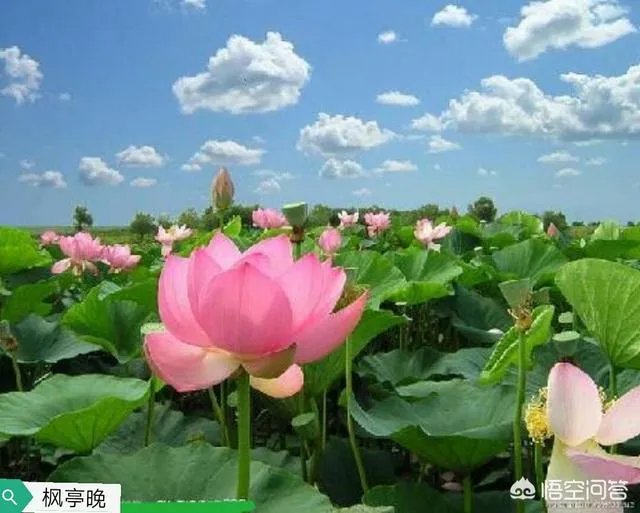 湖北鄂州有哪些值得一游的旅游景点?