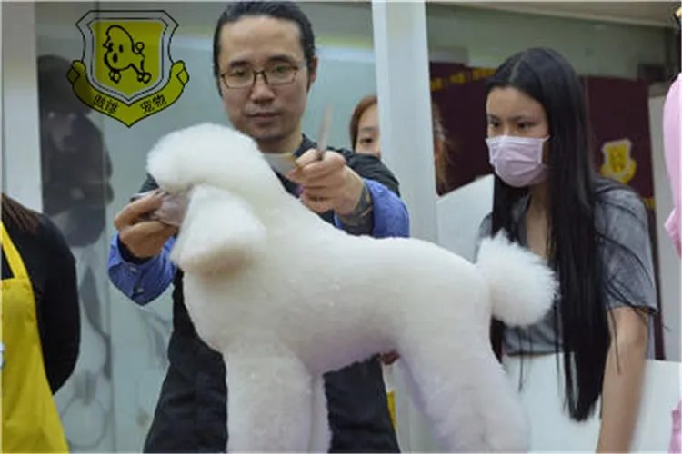 宠物美容技术培训费用学费贵不贵?