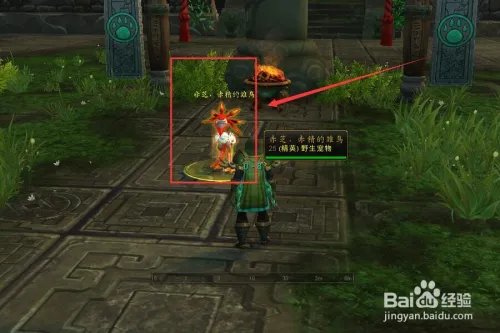 天神比武大会赤芝和皂皂攻略。