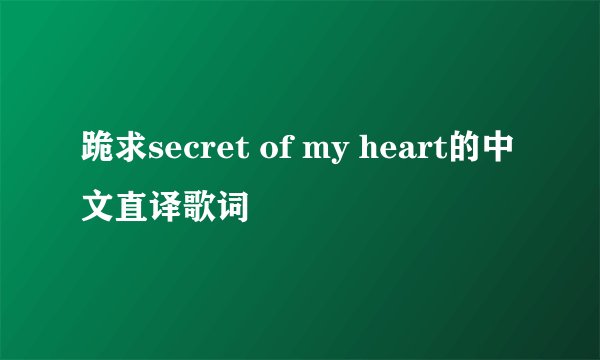 跪求secret of my heart的中文直译歌词