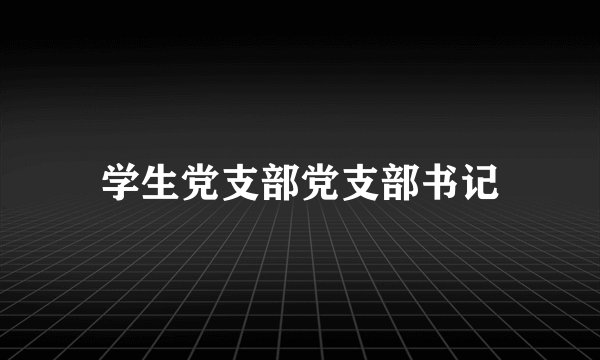 学生党支部党支部书记