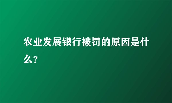 农业发展银行被罚的原因是什么？