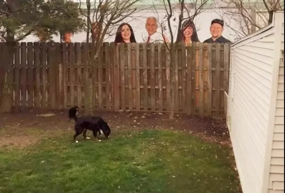 一男一女摩托车上打野战?这些错觉图片让你大开眼界