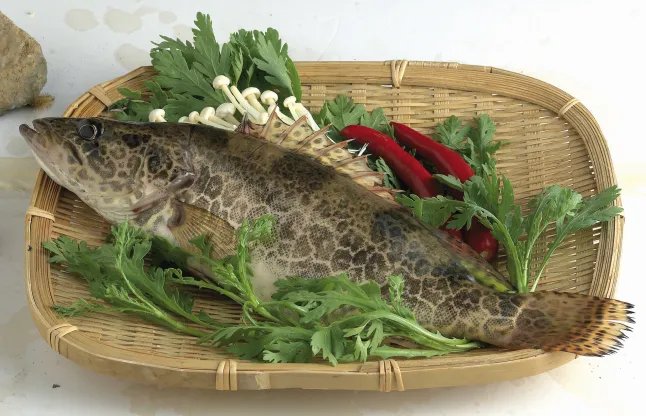 中国人为什么过年吃鱼 过年的时候吃鱼的吉祥寓意