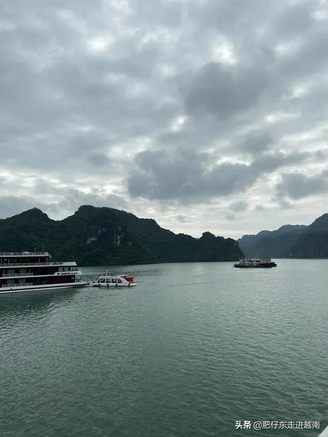 越南什么时候可以入境中国