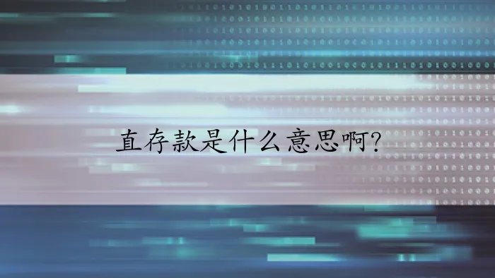 直存款是什么意思啊？